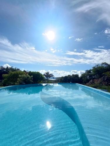 einen Pool mit blauem Wasser und einer Palme im Hintergrund in der Unterkunft CASA DE CAMPO SENHORA SANTANA in Rio de Contas