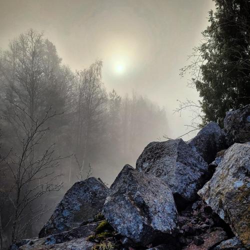 a foggy lake with rocks and trees in the background at Tofvehults Boende in Skaftet