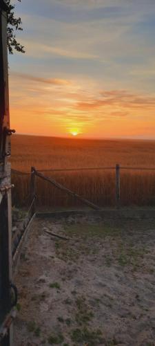 a sunset over a field with a fence at Vledderstee in Vledderveen