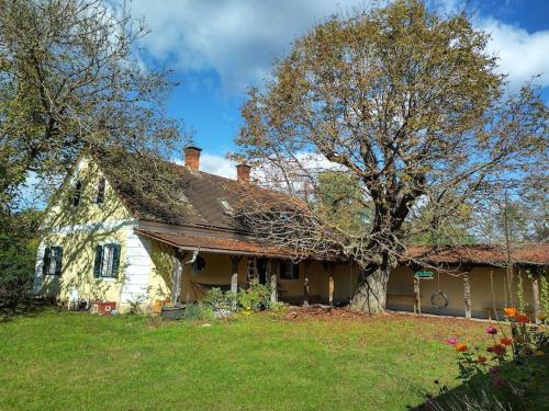 Mosti`s Häuschen am See