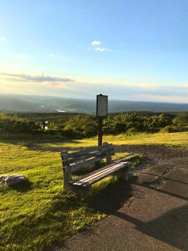 a bench sitting on the side of a field at Rare River Views & Access, Cabin by Eden Islands in Montague