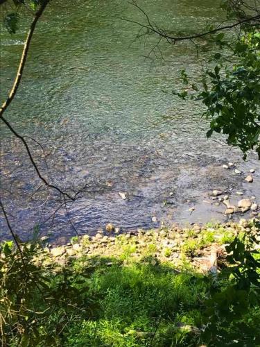 a painting of a body of water with grass at Rare River Views & Access, Cabin by Eden Islands in Montague