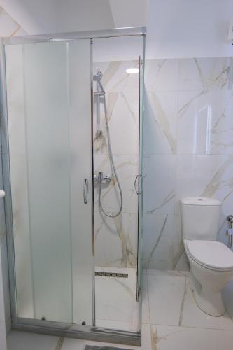 a bathroom with a shower and a toilet at Sunny Holiday in Sarandë