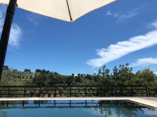 a view of a pool from a patio with an umbrella at B&B Zia Nì in Peschici