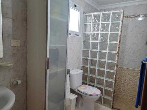 a bathroom with a toilet and a glass shower at ISLOTE in Famara