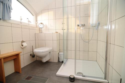 a bathroom with a shower and a toilet at Haus TimpeTe am Breetzer Bodden in Vieregge