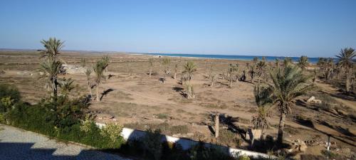 uma vista para uma praia com palmeiras e para o oceano em Belle appartement vue de mer em Zarzis