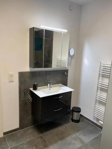 a bathroom with a sink and a mirror at Ferienhof Elbaue in Schönebeck