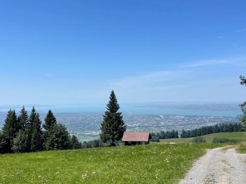 Segula City Apartment - Dornbirn