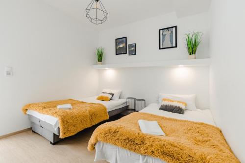 two beds in a room with white walls at Sun&Sport Apartament MAJA z ogródkiem in Szczyrk