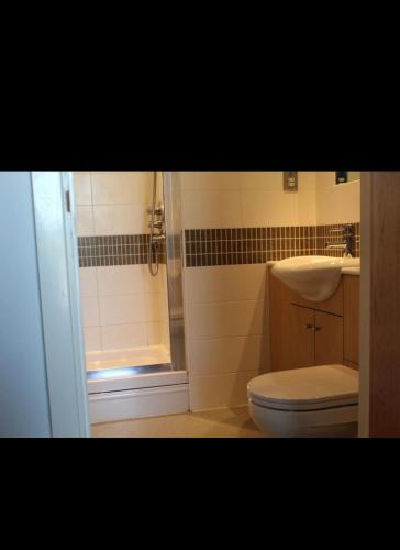 a bathroom with a shower and a toilet and a sink at Empire apartment in Huddersfield