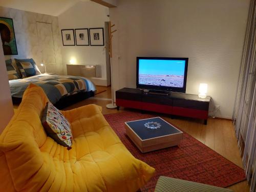 a living room with a couch and a flat screen tv at La crique de l'evole in Neuchâtel