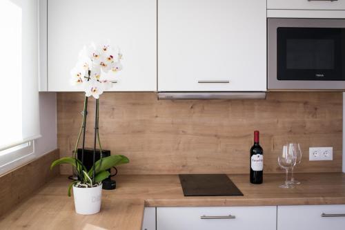 a kitchen counter with a bottle of wine and a plant at MAR BIANCO - Gay Men Only in Maspalomas