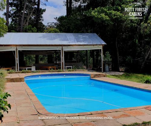 a swimming pool with a gazebo in a yard at Plett Forest Cabins in Plettenberg Bay