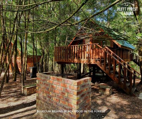 eine Holzbrücke über eine Ziegelwand neben einer Hütte in der Unterkunft Plett Forest Cabins in Plettenberg Bay