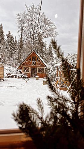 a log cabin in the snow with a tree at Domek w Górach- Bacówka u Dudka in Nowy Targ