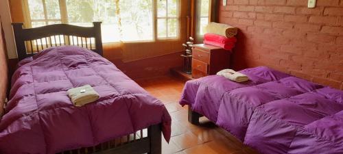 2 bedden in een kamer met paarse dekbedden bij Finca Hotel alto de la gloria Filandia La tierra del encanto in Filandia