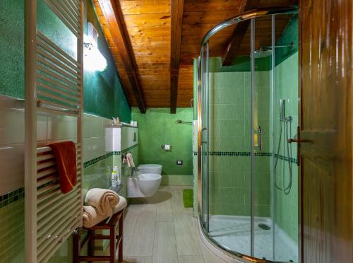 bagno verde con doccia e servizi igienici di Affittacamere Is Coronas a Ìsili