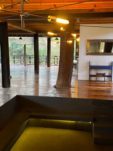 Posezení v ubytování PINE TREE Mazamitla Hotel Boutique & Cabañas