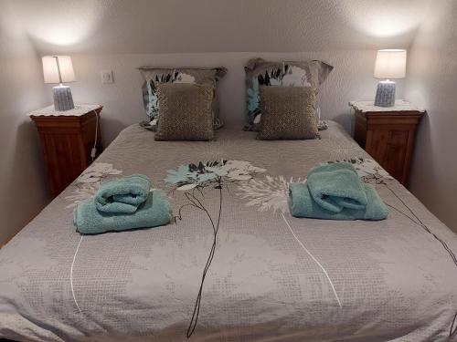 ヴィサンブールにあるAux vignesのベッドルーム1室(ベッド1台、タオル2枚付)