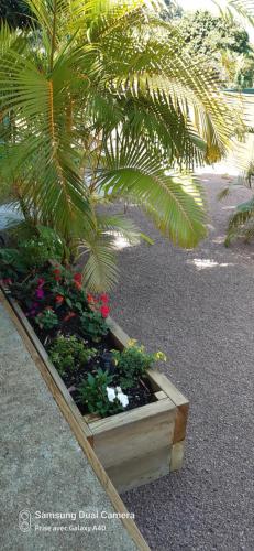 Сад в LA PLANTATION