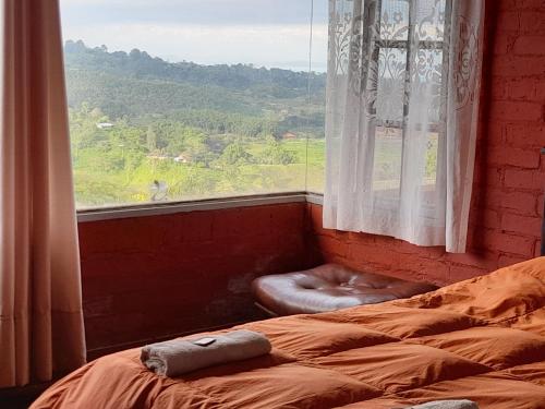 Postel nebo postele na pokoji v ubytování Finca Hotel alto de la gloria Filandia La tierra del encanto