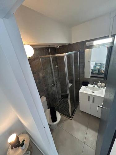 a bathroom with a shower and a toilet and a sink at Studio jungle chic in Le Tampon