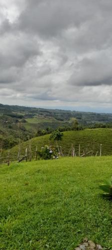 Paisagem natural perto do chalé