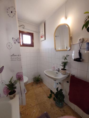 bagno con lavandino e specchio di Casa Soneja a Valbona
