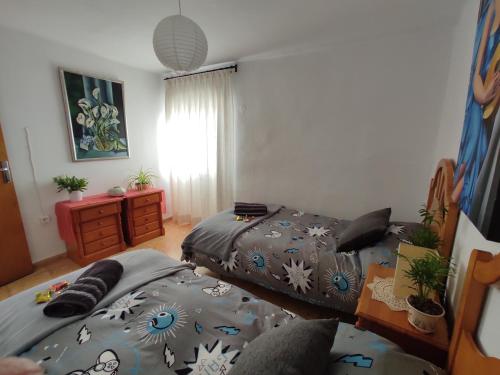 una camera con due letti e una finestra di Casa Soneja a Valbona