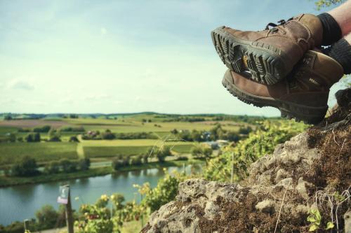 a person standing on top of a rock overlooking a river at Zeit bei Sauerweins in Palzem