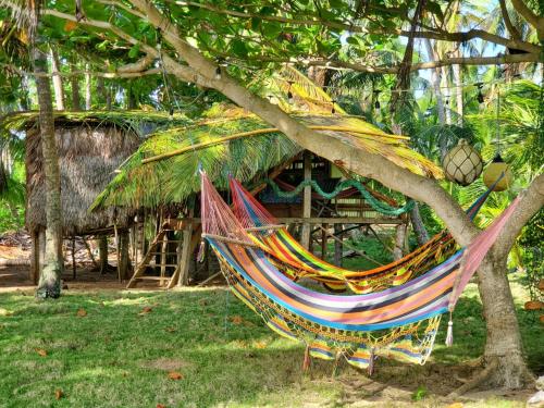 a hammock hanging from a tree in front of a hut at Derek's Place Eco-Lodge in Little Corn Island
