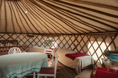 a room with two beds and chairs in a yurt at Willow Yurt in Fernhurst