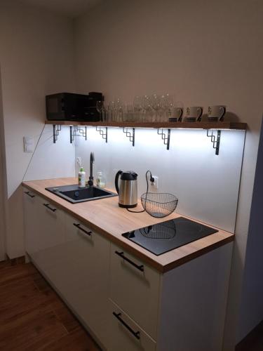 Η κουζίνα ή μικρή κουζίνα στο Apartamenty Zielony Liść
