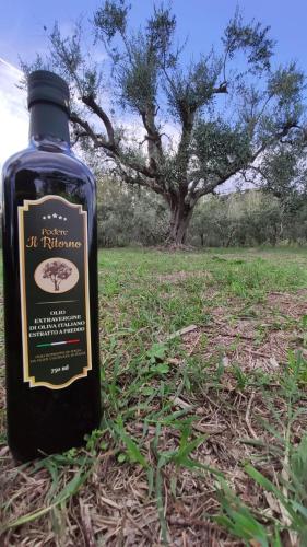 a bottle of wine sitting on the grass at Podere Il Ritorno in Portoferraio