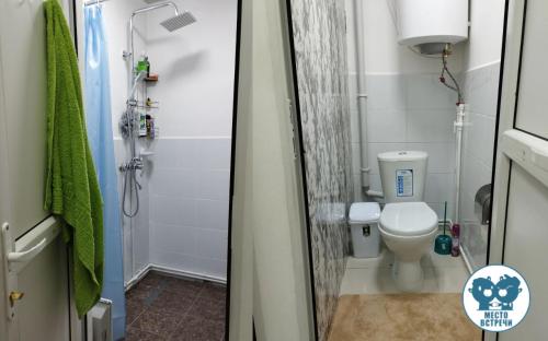 a small bathroom with a toilet and a shower at Место встречи "Guest House Meeting place" in Bishkek