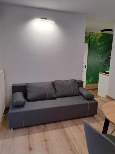 Χώρος καθιστικού στο Apartamenty Zielony Liść