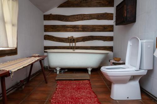 a bathroom with a bath tub and a toilet at Casa Sub Magrin in Satu Bătrîn