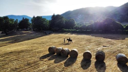 a person riding a horse in a field with logs at Agriturismo Casale Montebello in Monteleone di Spoleto