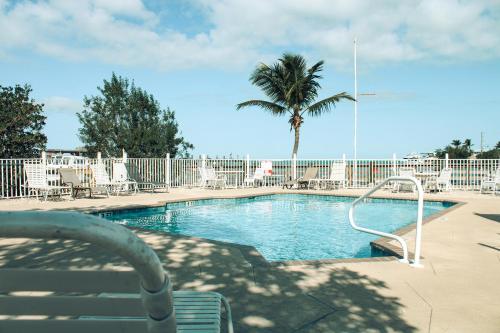 a swimming pool with a palm tree behind a fence at Captain Pip's Marina & Hideaway in Marathon