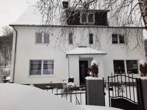 Ferienwohnung Willingen