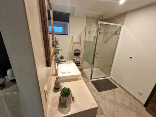 een badkamer met een wastafel en een douche bij Le Twenty in Marche-en-Famenne