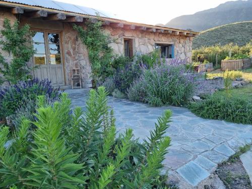 Casa al pie de Los Andes - La Crucesita - Lujan de Cuyo - Mendoza - Argentina