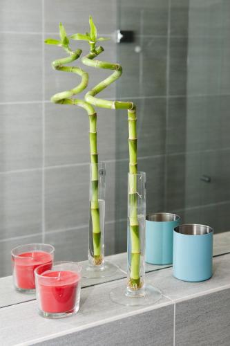 a vase with a plant in it on a table at Ferienwohnung Robi in Fulpmes