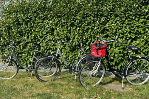 a group of bikes parked next to a hedge at Ferienhaus für 7 Pers./Schlei in Oersberg