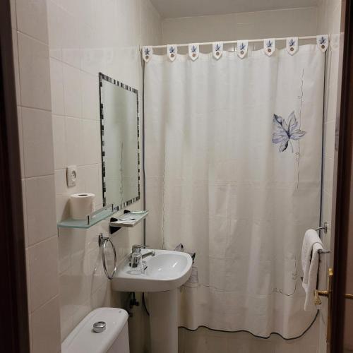 a bathroom with a sink and a shower curtain at Hostal Pan America in Madrid