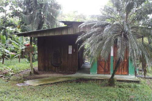 Finca Orgánica Guarumo – Photos 2