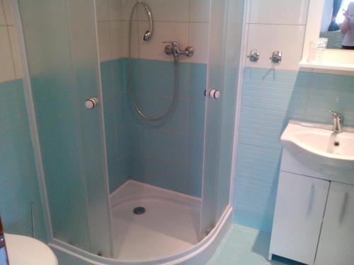 W łazience znajduje się prysznic, toaleta i umywalka. w obiekcie Apartments Anna w mieście Cerny Dul