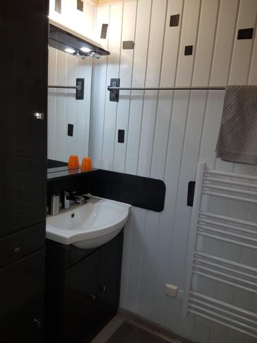a bathroom with a white sink and a mirror at Gîte Palis L'école d'antan in La Gacilly