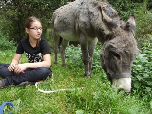a young girl sitting in the grass next to a donkey at Gîte Palis L'école d'antan in La Gacilly